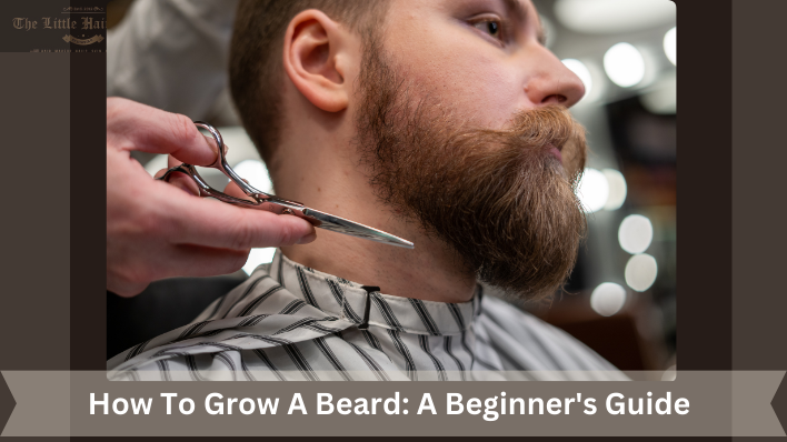 How To Grow A Beard A Beginner's Guide