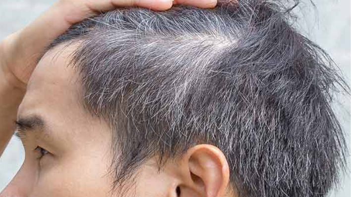 Grey hairs of male - The Little hair Salon