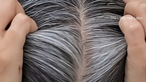 Grey long hairs - The Little Hair Salon